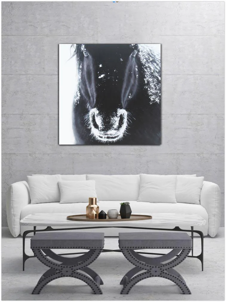 A Horse's Grandeur - Image 5