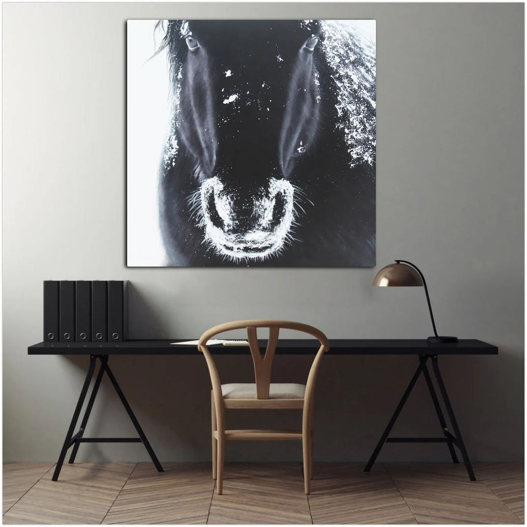 A Horse's Grandeur - Image 6