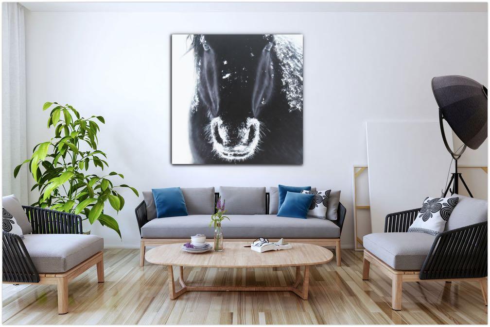 A Horse's Grandeur - Image 9