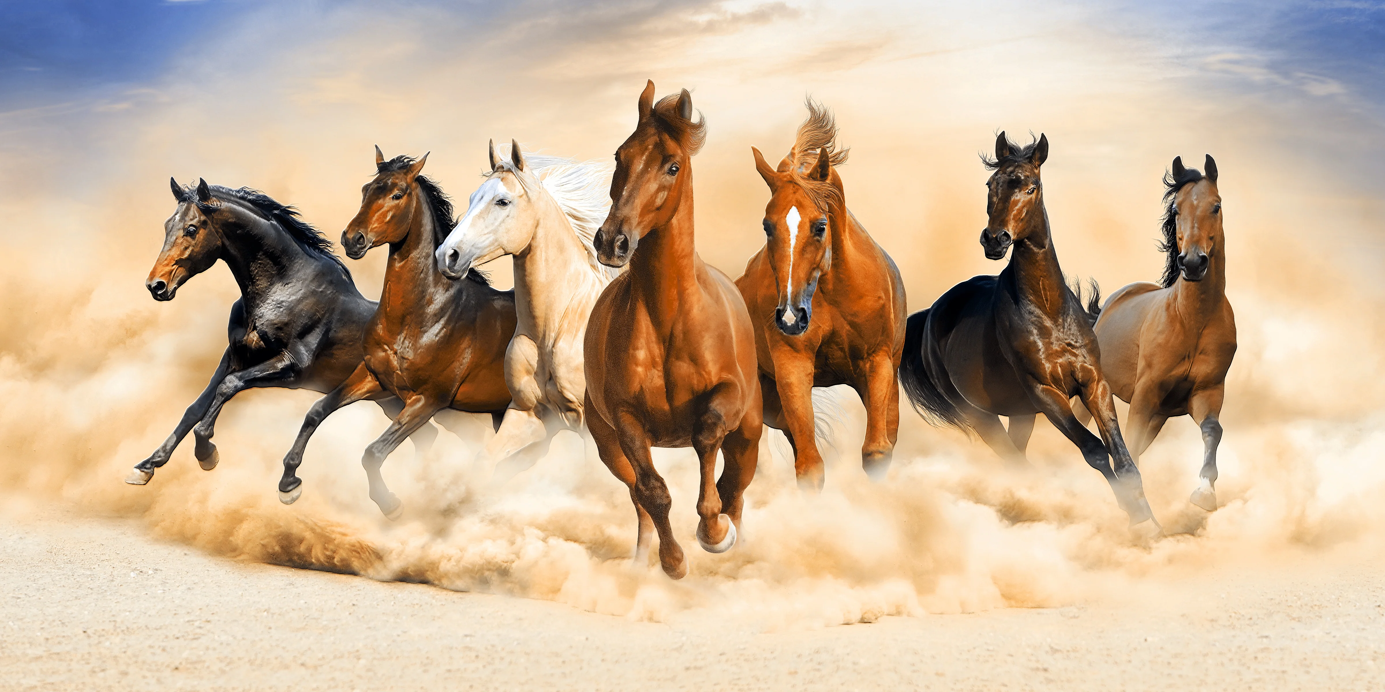 Wild West Symphony Artwork L180xW90 CM - Image 4