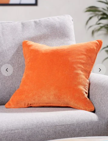 Velour Designer Cushion - Image 2