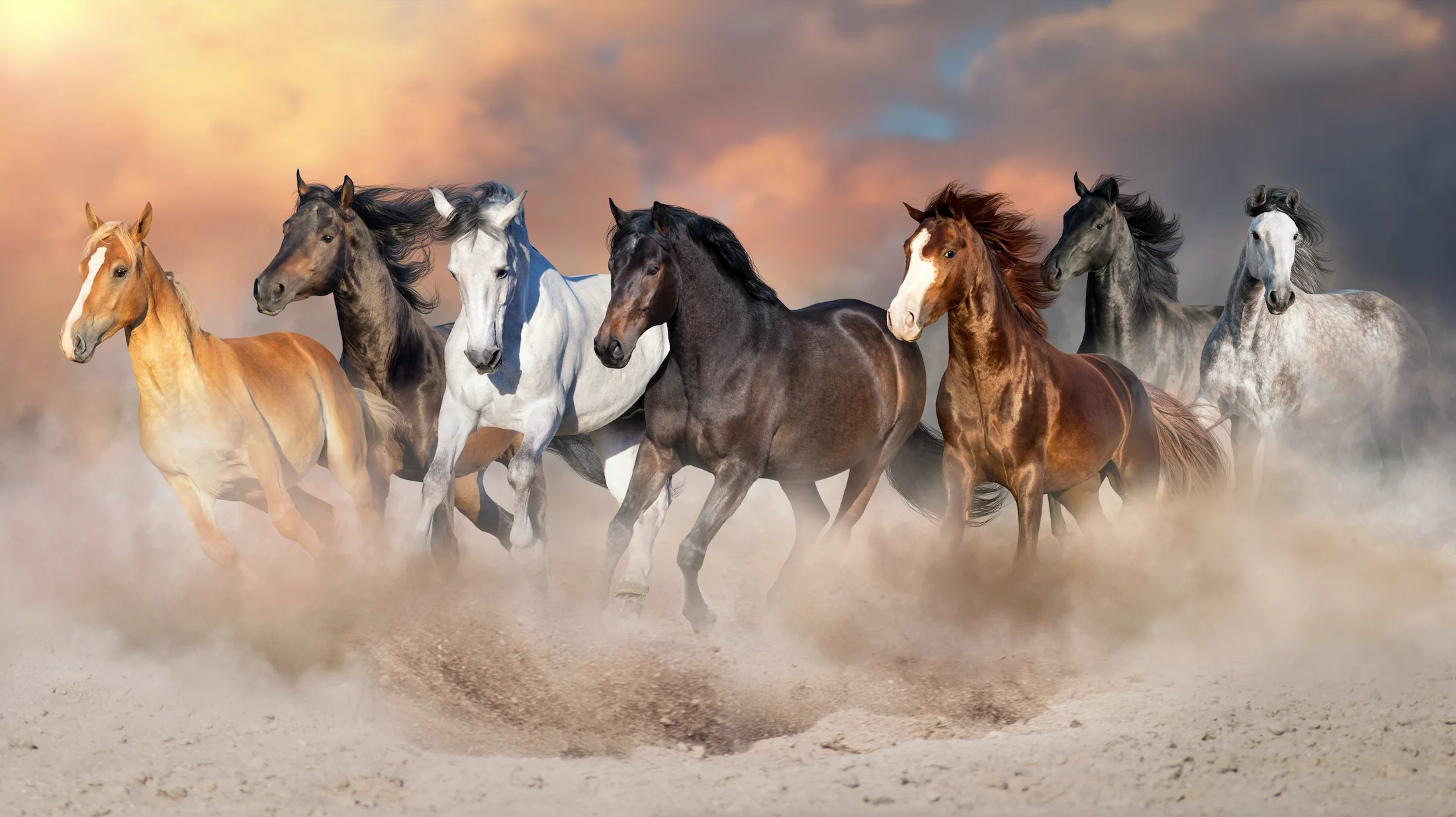 Wild Autumn Gallop Artwork L210x W110 CM - Image 5
